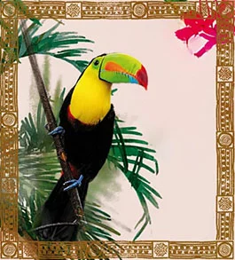 soins corp amérindiens enataé